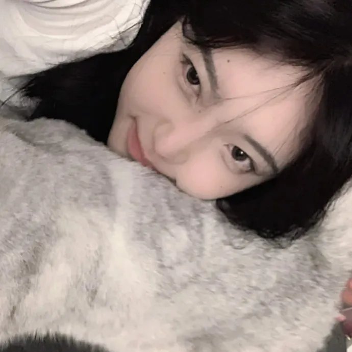 加菲猫和他的朋友们第二季